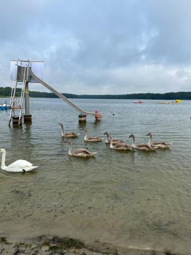 IMG-20220827-WA0070